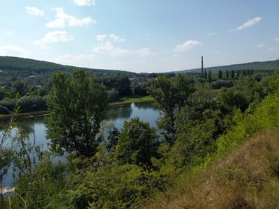 A wide shot captures a natural landscape under a bright, blue sky with scattered white clouds. In the foreground, a steep grassy slope with dry, brown grass dominates the right side of the frame. The slope transitions into dense green foliage and trees that obscure the lower portion of a calm, reflective river or body of water.
The river, occupying the left and central-midground, is surrounded by lush green trees of varying heights and densities. On the far bank of the river, a small, somewhat distant settlement with houses and buildings is visible, nestled amongst more trees. Beyond the settlement and the trees, rolling, tree-covered hills form the background.
Further into the background, on the right side of the frame, a tall, slender, red-brick industrial chimney stands prominently against the sky. A line of tall, thin trees stretches out from near the chimney towards the center of the background. The scene appears to be a rural or semi-rural area, likely in or near the city of Zalishchyky, Ukraine, given the presence of the river and the distinct landscape. There are no people or animals visible in the image.