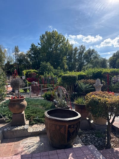 The image displays an outdoor garden or nursery setting located in Fretin, France, captured under a bright, sunny sky with scattered white clouds. The scene is devoid of human presence.

In the immediate foreground, a reddish-brown paver pathway is visible. A large, dark brown, octagonal planter, adorned with bas-relief floral patterns, stands prominently in the lower center. To its left, a smaller, round, weathered terracotta pot rests on a concrete pedestal, containing a dark, dried shrub decorated with red conical objects at its base.

The midground features a diverse arrangement of plants and garden decor. A low-lying bed of green, needle-like shrubs extends across this area. To the right, a small, multi-stemmed tree with reddish-brown foliage is planted in a pot. Other terracotta planters hold various green plants, including palm-like species. A sculpted stone finial, resembling a large pinecone, is positioned on a pedestal towards the right. Several red metal structures are integrated throughout the garden, including decorative arches and possibly trellises or fencing elements, some appearing to combine red and darker gray components. The ground is a mix of pebbles, gravel, and planted areas.

The background is dominated by a dense canopy of mature trees and lush green foliage, forming a natural wall behind the garden display. The sky above is a clear, bright blue with distinct patches of white, cirrus-like clouds, indicating strong daylight conditions.