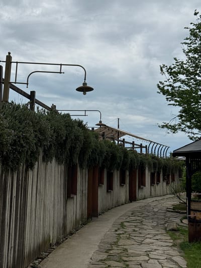The image depicts an outdoor staircase located in what appears to be a park or garden setting in Progress, Russia. The staircase is built against a stone wall on the right, and lined with greenery on the left side. Wooden steps with raised metal platforms are integrated into the structure. Lamp posts are visible along the staircase. The sky above is cloudy. The image is taken from a low angle, looking upwards. The staircase is next to a walkway made of stones.