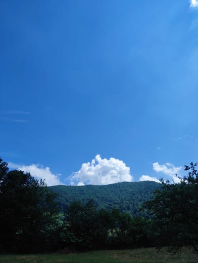 The image depicts a vast expanse of a clear blue sky dominating the upper two-thirds of the frame. A few scattered white cumulus clouds are visible, with one particularly prominent, puffy cloud positioned above the treeline. Below the sky, a densely forested green mountain range stretches across the horizon. The lower portion of the image is filled with a dark silhouette of trees, with their foliage appearing almost black against the brighter background. In the foreground, a patch of dry grass is visible, suggesting an open field or meadow. The scene appears to be a natural landscape, likely in a rural or mountainous area, and based on the prompt, it is specified to be in the city of Chernyk, Ukraine. No people or specific actions are depicted.