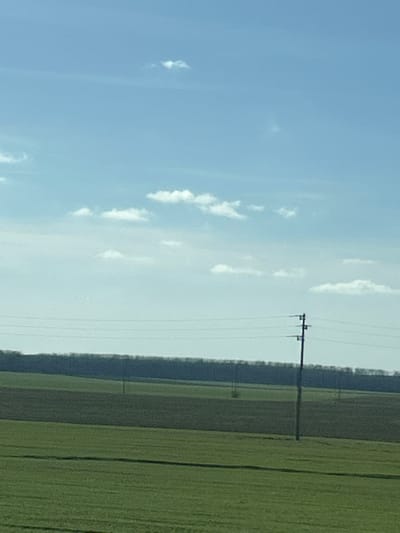 The image displays a rural landscape in Senokos, Bulgaria, under a light blue sky with scattered white cumulus clouds. The foreground consists of green cultivated fields showing linear patterns. Towards the midground, an area of darker brown cultivated land is present. Several dark utility poles, supporting multiple horizontal wires, extend across the midground, with one pole featuring insulators and cross-arms visible on the far right. A dense, dark treeline forms the distant horizon. A faint pink speck is visible in the upper-left portion of the sky. No individuals, animals, or vehicles are present. The scene is illuminated by natural daylight.