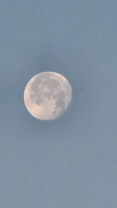An image captures a nearly full moon against a pale blue sky, with a small airplane visible in flight to the right of the moon. The moon is the dominant subject, filling a significant portion of the frame, and its surface details are discernible, suggesting it is either daytime or twilight. The sky is uniformly colored, with no clouds or other celestial bodies present. The airplane appears as a dark silhouette, its size indicating it is at a considerable distance. The setting is an open sky, suggesting an outdoor scene in a location with clear visibility. No specific urban features of Alkhazurovo, Russia are identifiable within the frame.