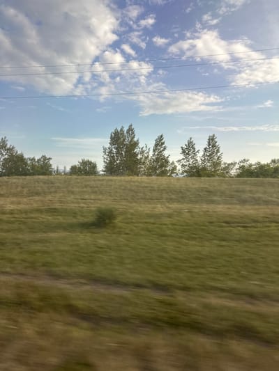 The image depicts a rural landscape in Novonikolayevka, Russia. The scene is divided horizontally, with the left side dominated by a bright blue sky filled with fluffy white clouds and several power lines stretching across the frame. The right side of the image features a grassy field, appearing somewhat dry and brown in patches, with a line of trees running along the horizon. The trees are varied in size and density, with some appearing more full than others. The overall impression is that of a sunny day, likely in the late morning or early afternoon given the brightness of the sky and the quality of light. The image appears to have been taken from a moving vehicle, as evidenced by the motion blur in the grassy field. There are no people or specific objects of interest clearly visible, beyond the natural elements of sky, clouds, grass, and trees, and the man-made power lines. The colors are natural and muted, with the green of the grass and the blue of the sky being the most prominent. The scene evokes a sense of open space and the quietude of the countryside. No text is visible in the image.