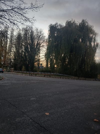 The image displays an outdoor scene, likely depicting a paved road or path alongside a wooded area under an overcast sky. The right side of the image is dominated by a dark, granular paved surface, possibly asphalt, which shows some minor cracks and subtle lighter markings. A few scattered dry, brown leaves are visible on this surface.
A low, dark metal guardrail or barrier runs horizontally across the mid-ground, acting as a clear boundary between the paved area and the natural landscape. To the left of the guardrail, a dense array of trees fills the rest of the frame. A prominent, large weeping willow tree, characterized by its cascading branches and dark, somewhat sparse foliage, occupies the upper left quadrant. Below and behind it, other deciduous trees with largely bare branches suggest an autumn or winter setting.
A warm, bright glow, indicative of a low sun (either rising or setting), is visible on the horizon, filtering through the distant trees. A small, light-colored vehicle, possibly a car or van, can be faintly seen in the distance, partially obscured by the trees against the bright horizon. The sky is predominantly grey and cloudy but shows a distinct transition to a warmer hue near the horizon due to the sun.
No people are visible in the scene, nor is there any discernible text. The overall mood is quiet and subdued, reflecting the low light conditions of either late afternoon or early morning on a cloudy day during the colder months. The scene is located in Béthune, France.