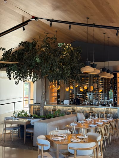The image displays the interior of a sophisticated and modern restaurant or dining hall, captured from an elevated perspective looking down into the space.

**Subjects and Setting:**
The scene features a spacious dining area with a mix of seating arrangements. On the right, several light-colored wooden tables are meticulously set with white napkins, multiple clear glasses (likely for wine and water), and plates, indicating readiness for service. Seating includes comfortable, light grey upholstered banquettes along the walls and individual chairs crafted from light wood with matching fabric cushions. The floor in this dining section is covered with a patterned carpet.

A prominent feature is a large, multi-branched tree with dense green foliage, appearing to span vertically through the space, providing a natural element amidst the contemporary design. On the far right, a well-stocked bar or wine storage area showcases numerous bottles of wine and spirits on illuminated shelves. One individual, likely a bartender or staff member, is partially visible behind the bar. To the left, a polished light wooden floor leads to a dark metal railing, possibly part of a staircase or mezzanine.

**Objects and Details:**
The lighting is diverse and contributes significantly to the ambiance. Large, textured pendant lights, possibly made of cork, hang above a section of the tables. Additional warm-toned lighting is integrated into the walls, ceiling, and bar shelving, casting a soft glow. Track lighting fixtures are also visible on the wooden wall. A green "Exit" sign with a running person pictogram is clearly displayed near the central tree. A white smoke detector is mounted on the wooden wall. Windows are visible in the background, suggesting external light, but the dominance of warm artificial lighting points to an evening setting or an interior designed for intimate ambiance.

**Activity:**
The restaurant appears fully prepared for guests, with all tables immaculately set. However, there is no active dining taking place, suggesting the photograph was taken during off-peak hours or prior to service. The single visible person is occupied behind the bar.

**Notable Details:**
The overall impression is one of modern elegance and warmth, achieved through the combination of natural wood, lush greenery, contemporary furnishings, and strategic lighting. The setting conveys a high-end dining experience, fitting for a location in Drakenstein Nu, South Africa.