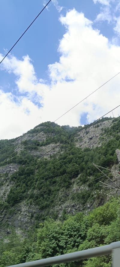 The image captures a scenic view of a steep, rocky mountainside covered in dense green trees. The mountain face displays distinct layers of rock, suggesting geological stratification. Several dark wires, likely power or trolley lines, crisscross the sky and the mountainside, indicating proximity to a transportation route such as a railway or cable car. The sky above is blue with scattered white cumulus clouds. In the foreground, a grey railing is visible, suggesting the vantage point is from a train, platform, or viewing area. The overall impression is of a natural, rugged landscape with human infrastructure present. The location is Golling an der Salzach, Austria, a town known for its natural beauty and proximity to the Alps.