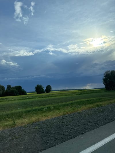 The image depicts a landscape with a bright sun shining through scattered clouds. The scene is dominated by a vibrant green field stretching towards the horizon, with rows of crops visible. A paved road with a white line runs along the right edge of the frame, bordering the field. Several trees are scattered along the edge of the field, adding depth to the scene. The sky is a mix of blue and white clouds, with the sun creating a luminous glow. The image appears to be taken on a clear day, likely during daylight hours, given the bright sunlight. There is no visible text in the image. The overall impression is one of a serene rural setting.
