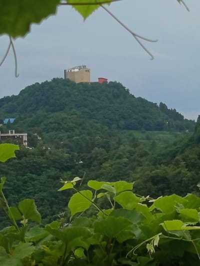 The image shows a green, hilly landscape under a cloudy sky. In the foreground, large green leaves of a plant, possibly grapevines, obscure the view of the scene below. In the middle ground, a dense forest covers the hills. Several buildings are visible, including a light-colored, multi-story building on the left with a white roof, and a bright red cylindrical structure on the summit of a hill. A light yellow, rectangular building with a flat roof is also located on the hill's summit, near the red structure. The overall impression is of a natural landscape with some human structures integrated into it. This scene is likely located in Makhvilauri, Georgia, a resort town known for its greenery and hilly terrain.
