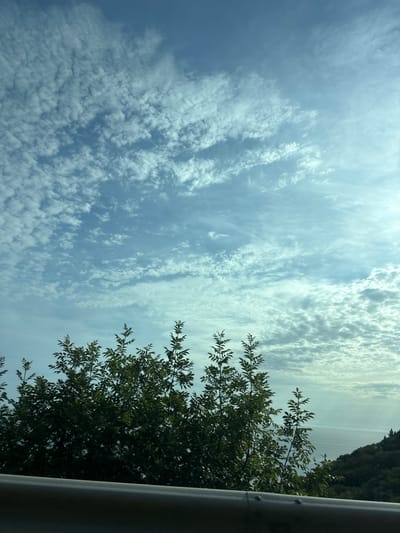 The image presents an outdoor landscape in Donji Katun, Montenegro, captured from an elevated perspective, likely a roadside. The upper two-thirds of the frame feature a light blue sky extensively covered by altocumulus clouds, which are denser and more defined on the left and gradually diffuse towards the bright upper-right quadrant. A prominent mass of dense, dark green deciduous foliage, consistent with trees or large bushes, occupies the lower-left and central portions of the midground. A grey metallic guardrail, affixed with visible bolts, horizontally spans the bottom edge of the composition. To the right of the central foliage, a body of water, presumed to be the sea, is visible extending towards the horizon, displaying reflective streaks of sunlight. A forested landmass slopes downwards towards the water on the far right. No individuals, animals, or specific human activities are present within the scene.