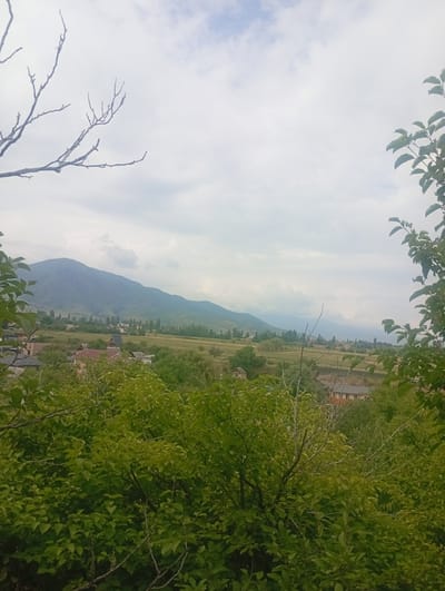 The image shows a natural landscape in Arashan, Kyrgyzstan. In the foreground, there are green leafy trees and branches. The middle ground features a rural settlement with houses and fields. In the background, a large, mist-covered mountain range dominates the horizon under a cloudy sky. The scene appears to be a calm, overcast day in a mountainous region.