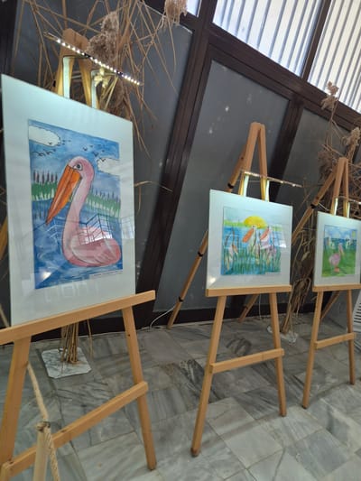 The image shows three paintings displayed on wooden easels. The paintings depict bird themes, with the closest featuring a pink pelican. Each easel has a thin light strip illuminating the paintings. Tall, dried grass stalks stand behind the easels, suggesting a natural setting. The floor is tiled in a grey marble pattern. A window with horizontal blinds can be seen in the background. Based on the subject matter and the likely display of bird-themed artwork, the location could be Srebarna, Bulgaria, known for its lake and bird reserve. The scene appears to be an exhibition or display of art, possibly within or related to the nature reserve in Srebarna.