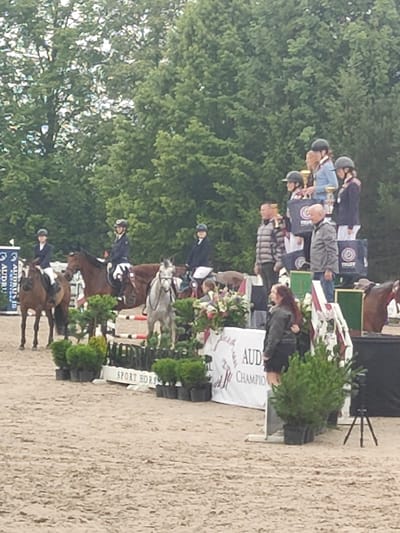 The image depicts an equestrian event awards ceremony at a sandy arena, with trees in the background. On a raised platform, several individuals are receiving awards and trophies. Three female riders, wearing equestrian helmets, are positioned on the left side of the platform, each with a horse in front of them. Two horses, one brown and one grey, are also present in the scene. On the right side of the platform, three individuals are standing, seemingly as award recipients or organizers. One person holds a trophy, while another is being photographed. A banner displaying "AUDI CHAMPION" is visible in the lower portion of the image. The environment is an outdoor setting with lush green trees forming the backdrop, suggesting a natural or park-like atmosphere. The foreground consists of sand, characteristic of an equestrian competition venue. The lighting suggests an overcast or diffused daylight, as there are no strong shadows. The image is taken from a slightly elevated angle, looking towards the platform. The location is identified as Ziniūnai, Lithuania.