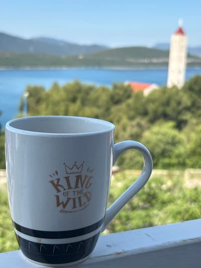 A close-up shot shows a "King of the Wild" mug resting on a white balcony railing. In the blurry background, there's a view of the city of Neum, Bosnia and Herzegovina, featuring water, trees, and a tall building with a red roof. The mug is primarily white with gold lettering and black stripes near the bottom.