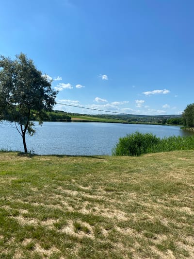 This is a vertically oriented, eye-level medium shot of a grassy embankment leading down to a calm body of water. The sky is a clear, bright blue with scattered white, puffy clouds. A lone tree with sparse green foliage stands near the water's edge in the foreground. Across the water, a distant shoreline is lined with trees, and beyond that, a village with houses is visible, nestled against rolling hills. The water itself is a serene, light blue, reflecting the sky and the greenery of the opposite bank. On the right side of the image, the grassy embankment is a mix of green and dried, straw-colored grass, suggesting a sunny, possibly dry climate. A faint black wire stretches horizontally across the upper portion of the scene, possibly a power line. The overall impression is one of peaceful, natural beauty on a clear, sunny day. The location context provided is Găleștii Noi, Moldova. There is no visible text in the image.