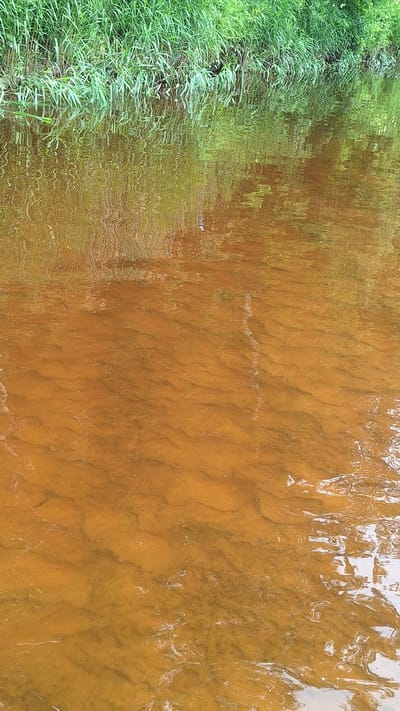 The image shows a close-up view of a shallow, murky body of water, likely a stream or canal, with a sandy bottom visible beneath the surface. The water is a reddish-brown color, indicating the presence of sediment or dissolved minerals. The bottom has wave-like patterns formed by the movement of water and sediment. Along the top edge of the image, lush green vegetation, possibly reeds or tall grass, grows along the bank. The vegetation is reflected in the water, creating distorted green and brown patterns on the surface. The overall scene is natural and appears to be located outdoors in a rural or semi-rural environment, consistent with a location like Vālodzes, Latvia, which is known for its natural landscapes and waterways. There are no people or identifiable objects in the scene, only the natural elements of water, sand, and vegetation.