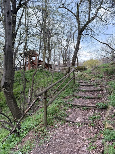 The scene is a wooded area with a rustic wooden fence along a path in Bratsigovo, Bulgaria. The path has rough wooden steps leading uphill, covered with fallen leaves and vegetation. A wooden structure is visible through the trees. The trees are mostly bare, with some showing early signs of foliage. The sky is overcast.