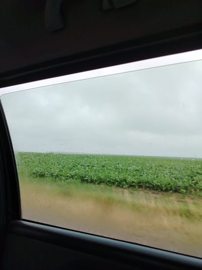 The image shows a view from inside a vehicle, looking out of a car window at a field of green crops under a cloudy sky. The windowpane has water droplets on it, suggesting it is raining or has recently rained. The field is vast and appears to be a cultivated area, possibly a farm. The sky is overcast and a pale grey. The foreground of the image is dominated by the car's interior, with a dark grey trim along the bottom and right edge of the frame, and a dark overhead section at the top. The overall impression is that of a dreary, possibly rural scene viewed during travel. The location is identified as Блонскі сельскі Савет, Belarus.