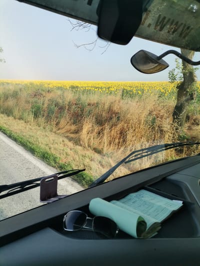 The image is taken from inside a vehicle, looking forward through the windshield. A vast field of sunflowers stretches to the horizon under a clear, pale sky. The foreground of the interior shows a portion of the dashboard with a pair of sunglasses and a rolled-up document or book. A windshield wiper is visible on the glass. Outside the windshield, to the right of the sunflowers, a tree trunk is partially visible, and a side mirror is attached to the vehicle's frame above the windshield. The road is visible to the left of the frame, with a white line marking its edge. The scene is set in Ovcha Mogila, Bulgaria, on a sunny day.