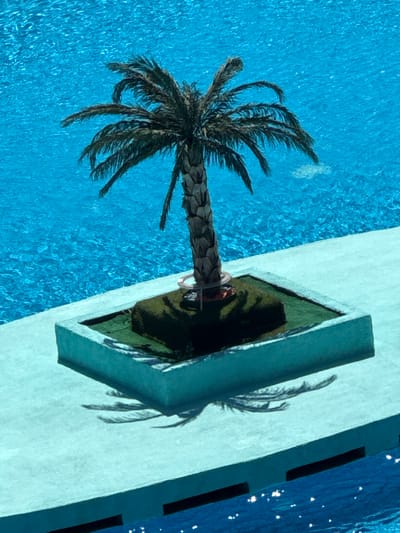 The image shows a single potted palm tree situated in a rectangular planter box. The planter box is elevated and appears to be made of a light blue material, sitting on a light blue platform. The planter box is surrounded by a bright blue pool of water. The palm tree has a textured brown trunk and green fronds. The sun casts shadows of the palm fronds on the light blue platform. The scene is likely a poolside setting, possibly in a resort or residential area in Çiğli, Turkey. There are no people or animals visible in the image. The water in the pool is clear and reflects the sunlight, creating a shimmering effect.