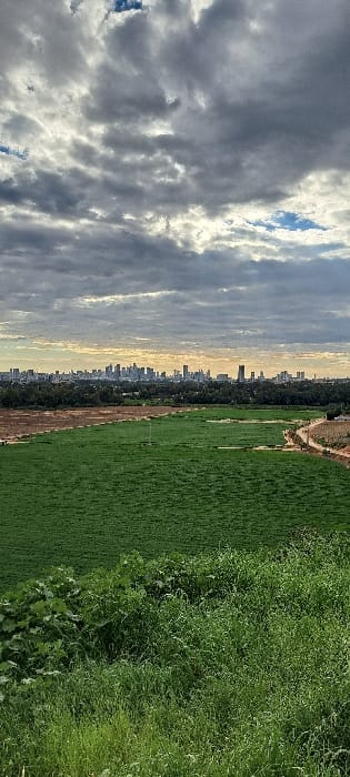 The image showcases a vivid contrast between natural elements and urban development. A sprawling green field dominates the right side, transitioning into a cityscape with tall buildings under a cloudy sky on the left. The horizon is distinct, dividing the blue sky from the cityscape. The clouds are varied and the light filters through.