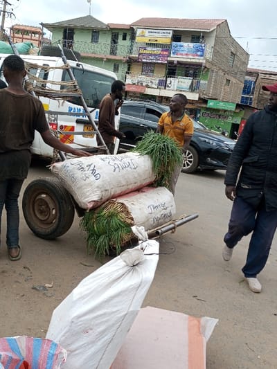 An urban street scene in Tala ward, Kenya, depicts a two-wheeled, manually-operated cart laden with produce. The cart carries two large white sacks, visibly filled with green leafy vegetables (likely spring onions or scallions), with some foliage spilling from the ends. The top sack is partially labeled "JAMES MODAN," and the bottom sack reads "JAMES MUTHURA."

Four adult males are present. From left to right:
1.  A man in a dark brown t-shirt and blue jeans, with brown slip-on shoes, stands by the left rear of the cart, his right hand on the cart's frame. His back is mostly to the viewer.
2.  Behind the cart, a man in a brown long-sleeved shirt and dark pants stands near a white van. He has dark facial hair and appears to be holding an object to his mouth.
3.  A man in an orange short-sleeved polo shirt and light-colored pants stands on the right side of the cart, looking right.
4.  A man in a dark long jacket, dark pants, and light-colored shoes, wearing a red cap, walks from left to right on the far right of the frame, partially obscured.

A white panel van, possibly a matatu, with a visible license plate "KCA...H," is parked behind the cart. Metal racks are secured to its roof. A black sedan is partially visible behind the central figures. The street surface is asphalt, with a loose white sack in the foreground. In the background, multi-story buildings line the street, featuring various commercial establishments with visible signs, including "DIMWISE LIMITED" and "BARBERSHOP & SPA." The sky is overcast.