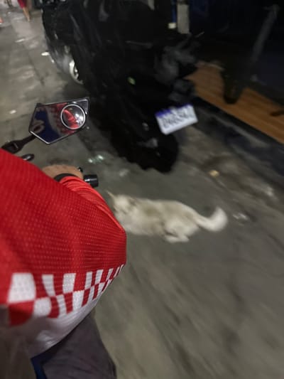 A person is riding a motorcycle at night on a wet street in Manila, Philippines. The rider is wearing a red and white checkered shirt. In the background, a white dog is running. There is a black motorcycle parked to the right. The street is paved with asphalt and there are some puddles on the ground. The image is blurry due to motion.