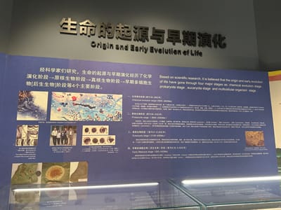 The image displays a scientific exhibit titled "Origin and Early Evolution of Life." It outlines four major stages of life's development: chemical evolution (4600-3800Ma), prokaryota stage (3800-2500Ma), eucaryota stage (2100-635Ma), and early metazoa stage (635-542Ma). The exhibit features images and textual descriptions in both Chinese and English, visually representing each stage of evolutionary progression.