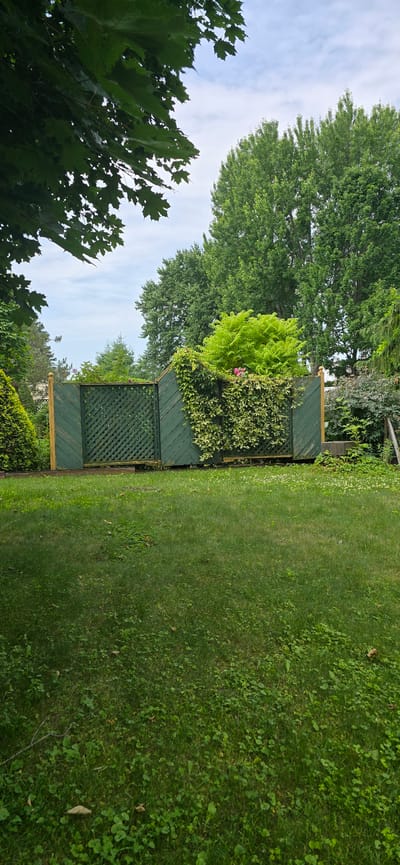 An outdoor scene depicts a green wooden fence in a grassy backyard. The fence, adorned with climbing ivy and a few pink flowers, is partially obscured by the lush green foliage of trees and shrubs. A well-maintained lawn stretches out in front of the fence, with scattered leaves and clover. The sky above is a pale blue, dotted with fluffy white clouds. The setting appears to be a residential area in Drummondville, Canada.