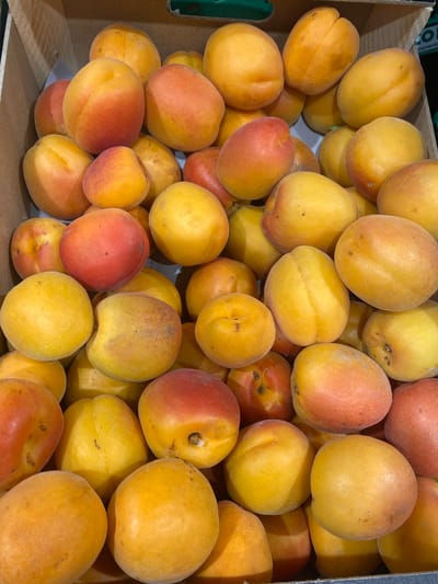 The image shows a close-up view of a cardboard box filled with ripe apricots. The apricots are round to oval in shape, with smooth skin that ranges in color from bright yellow to orange and red blush. They are densely packed in the box, with some overlapping. The background is the interior of a cardboard box, with visible brown corrugated material. There are no people or any other objects besides the apricots visible in the image. The scene is indoors, likely a market stall or grocery store. The city of Bel Air, Spain is not visible in the image.