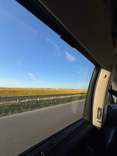 The image was taken from inside a vehicle looking out the passenger side window. A vast field of yellow sunflowers stretches across the horizon under a clear blue sky with a few wispy clouds. A metal guardrail separates the field from the road, which runs parallel to the sunflowers. The interior of the vehicle is visible in the foreground, including the car door and a ventilation grate. The scene appears to be located in or near the city of Medvedivtsi, Ukraine.