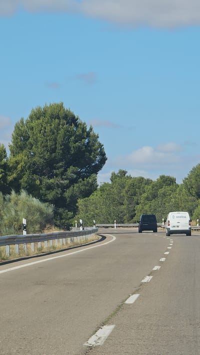 An outdoor, medium shot captures a sunny day on a curved highway in Zaragoza, Spain. The road, asphalt, is marked with white dashed lines indicating lanes. A silver guardrail lines the left side of the road, with white and black markers. To the left, dense green trees and shrubs flank the highway, with one large pine tree dominating the scene. Two vehicles are visible on the road ahead: a black van in the left lane and a white van with "soelca" logo in the right lane. The sky is blue with scattered clouds.