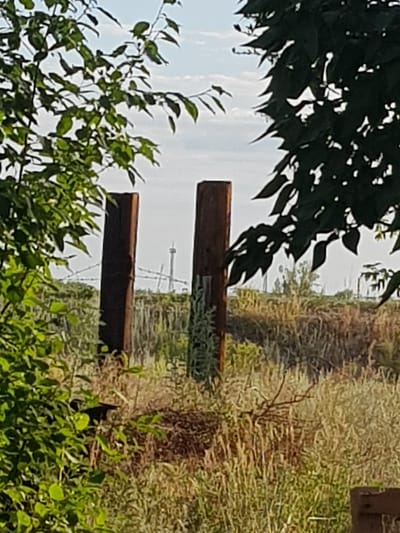 The image depicts an outdoor scene with a rustic, natural setting. In the foreground, lush green foliage partially obscures the view. Two weathered wooden posts stand prominently in the mid-ground, with barbed wire visible between them, suggesting a fence line. Beyond the fence, a field of dry grass and reeds stretches into the distance. In the far background, a tall, slender tower with a distinctive structure at its top is visible against a pale sky with scattered clouds. The tower appears to be an observation tower or a similar structure. The overall impression is one of a rural or semi-rural landscape, possibly on the outskirts of a settlement. The location is identified as Dolen Rural District, Kazakhstan.