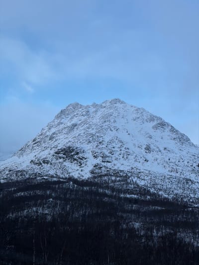 The image displays a snow-covered mountain, likely a part of the landscape surrounding Lødingen, Norway. The mountain occupies the central and upper portions of the frame, its rugged slopes uniformly covered in white snow, revealing darker rocky outcrops through the snow cover. Below the snow line, a dense band of dark, bare deciduous trees or brush occupies the lower section of the mountain's base, extending into the foreground. The sky above is a pale, muted blue with faint, diffuse cloud formations visible, suggesting overcast conditions or twilight. No human subjects, animals, or artificial structures are discernible within the frame.