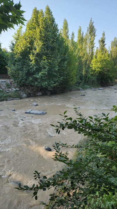 A wide, muddy river flows through a natural landscape. On the left bank, a dense line of mature trees with dark green foliage forms a natural barrier. The riverbed is visible with scattered rocks and stones, some partially submerged in the swirling, murky water. On the right side, the riverbank is covered with lush green vegetation, including grass and the branches of leafy trees, some of which overhang the water. The sky above is clear and bright blue. The overall scene depicts a serene, natural environment.
