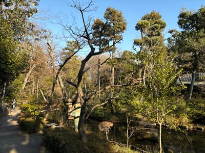 The image shows a wooded area in Minato City, Japan. It is located near the intersection of Akasaka 1-chōme and Aoyama 1-chōme in Minato City. The area is heavily wooded with tall deciduous trees with lush green foliage and a clear blue sky. In the foreground, a person walks towards the camera on a paved path, surrounded by a small stream or pond. The image contains several tall, slender trees on either side of the path and small clusters of shrubs surrounding a small pond or stream. The trees and shrubs are in various shades of green. There is a low stone wall or fence in the foreground on the right. The image was taken at mid-day with the sun casting shadows from the trees. The overall tone of the image is serene and tranquil.