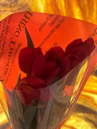 The image displays a bouquet of approximately five deep red tulips, encased in two layers of wrapping. The inner layer consists of red paper with inverted black English text, fragments of which include "THINGS", "passion", and "tell me influence". An outer layer of transparent plastic film encloses the red paper and the flowers. Minimal green foliage is visible among the tulip stems. The background is an out-of-focus field of warm yellow and orange tones, suggesting an ambient light source or patterned surface. No individuals are present, and no actions or interactions are depicted. The scene is located in the city of Базарово, Russia.