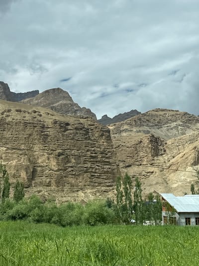 The image depicts a landscape scene in Mulbekh, India. In the foreground, a lush green field is filled with tall grasses and small yellow flowers. Behind the field, a dense row of green bushes and trees is visible. To the right of the bushes, a building with a silver metal roof and a wooden balcony stands. The building has large windows with wooden frames. Further in the background, rugged, rocky mountains with layered geological formations dominate the scene. The sky is overcast with gray clouds. The overall impression is a rural, mountainous environment.