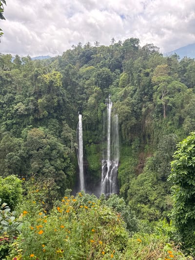 Lush greenery blankets a landscape, enveloping a multi-tiered waterfall cascading down a cliff. Vivid flowers dot the right side of the frame, contrasting with the cool greens of the forest. The waterfall cuts a striking path through the dense foliage, its white streams adding dynamic movement to the still scene. Patches of blue sky and fluffy white clouds provide a serene backdrop.