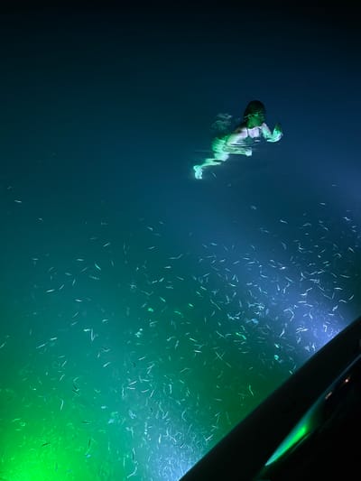 A submerged figure is swimming in dark water, illuminated by greenish light. The figure is near a large dark object, possibly a boat, that occupies the upper right corner of the image. A school of small fish is visible in the illuminated water near the object. The location is Unknown, Mexico.