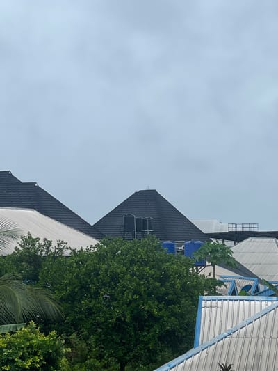 The image shows a view of rooftops and trees against a cloudy sky. The rooftops are of varying materials, some dark grey and some corrugated metal with blue trim. Trees with dense green foliage are interspersed among the buildings. Based on the information provided, the location is Abraka, Nigeria, though there are no specific elements to visually verify the location. The image depicts the built environment coexisting with natural elements. There are no people visible.