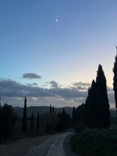 This vertically oriented landscape photograph, when viewed horizontally, depicts a serene rural scene at twilight. The sky dominates the upper portion of the image, showcasing a gradient from a lighter, soft yellowish-white near the horizon to a clear, deep blue overhead. In the upper left quadrant, a delicate crescent moon is visible, accompanied by a single bright star or planet, both starkly contrasting against the blue sky.
A horizontal band of clouds stretches across the middle of the sky. These clouds vary in density and illumination, with some appearing wispy and faintly lit, while others are darker and more voluminous, catching hints of the low-angled sunlight from behind.
On the right side of the image, a winding dirt or gravel road recedes into the distance, guiding the viewer's eye towards the horizon. The foreground and midground on this side are characterized by tall, dark silhouettes of slender trees, strongly resembling cypress trees, which are a characteristic feature of the Tuscan landscape. These trees line the roadside and are dotted across the rolling hills that form the background, appearing as muted, dark shapes against the softer light of the distant horizon. The overall lighting suggests either dawn or dusk, creating a peaceful and contemplative atmosphere.
The distinctive presence of cypress trees and rolling hills, combined with the quality of light, strongly cues the location to be the picturesque countryside around Montalcino, Italy. There are no people visible, and no discernible text appears in the image.