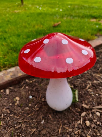 A close-up, eye-level, medium shot features a decorative red mushroom with white spots, likely made of glass or plastic, situated outdoors. The mushroom's cap is domed and glossy red, adorned with several irregularly spaced white circular spots. The stem is a matte white, tapering slightly towards the base. The mushroom is planted in dark, rich soil, with scattered small twigs, wood chips, and pebbles. A thin, weathered brick or stone border runs horizontally across the lower portion of the image, separating the soil from a vibrant green lawn in the background. The lawn appears lush and well-maintained, with a few small white flecks, possibly small flowers or debris, scattered across its surface. The lighting suggests it is daytime, with soft, diffused light. The overall scene evokes a garden or outdoor decorative element. There is no indication of the city of Wychavon, United Kingdom.