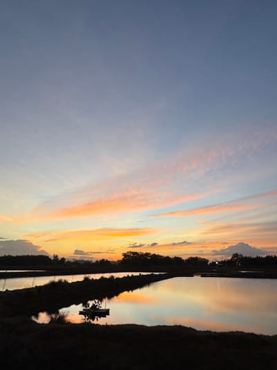 The image depicts a serene sunset over a body of water, likely a fish farm, in Mesjid Ulim Baroh, Indonesia. The sky is a gradient of colors, with hues of pale blue at the top transitioning to soft pinks, oranges, and yellows closer to the horizon, indicating the sun has recently set or is about to set. Wispy clouds are scattered across the sky, catching the light and adding texture.
In the foreground, the dark silhouette of land frames the water. The water itself reflects the colorful sky, creating a mirror image that doubles the beauty of the sunset. A small, dark object, possibly a water aerator or a small boat, is visible in the water, silhouetted against the brighter reflections. The banks of the water are lined with dark vegetation. In the background, a line of trees forms a dark, undulating silhouette against the vibrant sky, with hints of more distant structures or vegetation barely discernible. The overall scene conveys a sense of tranquility and natural beauty at dusk.