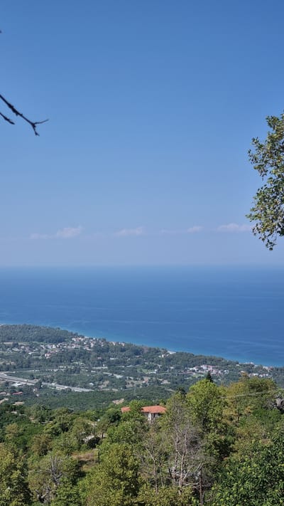 The image captures a panoramic view from an elevated vantage point in Palaios Panteleimonas, Greece, overlooking the Aegean Sea and a coastal town. The foreground is dominated by lush green foliage, with trees of varying heights and densities, and a few bare branches from a tree on the left. A partially visible house with a red-tiled roof is nestled among the trees in the mid-ground.
Further down the slope, the landscape transitions to a more cultivated area with scattered buildings, including houses with red roofs, forming a town that stretches along the coastline. A highway is visible running through the middle ground, parallel to the coast.
The background is a vast expanse of the deep blue Aegean Sea, meeting a clear, bright blue sky. A thin, hazy line of clouds is present on the horizon where the sea and sky meet. On the right edge of the frame, a portion of a leafy tree hangs into the scene from above. The scene is bathed in bright daylight, suggesting a clear, sunny day.