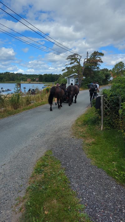 The image depicts a scene in Larkollen, Norway, showing a road with gravel on the sides and asphalt in the middle. Two dark-colored horses are walking down the road, pulling a dark-colored carriage. A person is walking behind the horses, and another person is riding a bicycle further down the road. The environment includes a body of water with boats docked on the left side of the image, trees and houses in the background, and a cloudy sky above. The road appears to be a rural or semi-rural path.
