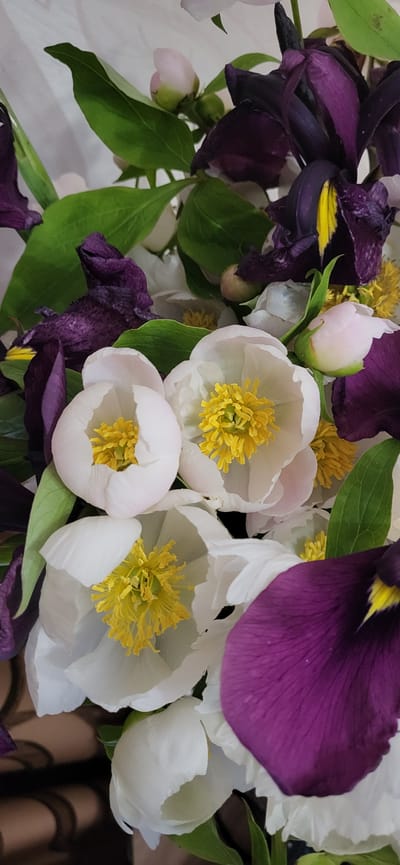 This image depicts a close-up, overhead view of a floral arrangement in Slavyanka, Russia. The bouquet primarily features white peonies with vibrant yellow centers, interspersed with deep purple iris flowers, some of which appear wilted. Green leaves and a few pale pink peony buds are also visible, adding depth and variety to the composition. The flowers are arranged in a dense cluster, filling the frame. The background is a soft, blurred white, suggesting an indoor setting, possibly a home or a flower shop. No people or specific actions are captured in the scene. The lighting is even, highlighting the textures and colors of the flowers.