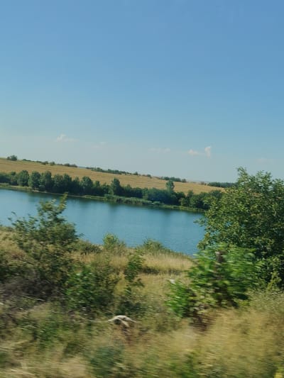 A wide-angle, slightly blurry landscape shot depicts a body of water, possibly a lake, with a line of trees and a field beyond. The water is a calm, medium blue, reflecting the clear, pale blue sky. The trees form a dense, dark green line along the edge of the water, with a few taller trees scattered throughout. Behind the trees, a golden-brown field stretches out, indicating a crop of some kind, likely wheat or barley, and beyond that, a distant treeline and the horizon. In the foreground, the vegetation is a mix of green and golden grasses and shrubs, also slightly blurred due to motion. The overall impression is one of a tranquil rural scene, possibly taken from a moving vehicle. The location is the city of Totleben, Bulgaria.