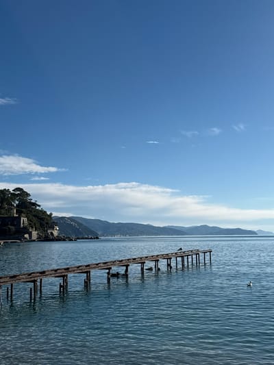 The scene is located in Santa Margherita Ligure, Italy, depicting a coastal view of the Ligurian Sea. The upper two-thirds of the image show a clear blue sky with sparse, elongated white clouds horizontally positioned across the mid-sky. The lower third consists of calm, blue-green water displaying subtle surface ripples.
A dilapidated wooden pier, constructed from dark, weathered planks supported by multiple vertical posts, extends from the lower-left foreground into the mid-ground, approximately parallel to the horizon line. One dark-feathered bird is perched on the pier's distal end. A white-bodied bird floats on the water directly to the right of the pier's terminus. The left background features a steep, verdant hillside covered with trees and Mediterranean vegetation, upon which stone buildings with terracotta roofs are visible. A distant, mountainous coastline with discernible urban development extends across the horizon from the center to the right. No human figures are present.