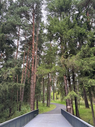 A paved walkway curves through a dense forest with tall evergreen trees. The walkway is bordered by a grey metal railing. The trees are a mix of pine and spruce, with their branches reaching high into the overcast sky. The ground is covered in green grass and undergrowth. The image appears to be taken from an elevated position, looking down onto the walkway and into the forest. The location is identified as Pavlovskaya Sloboda, Russia.