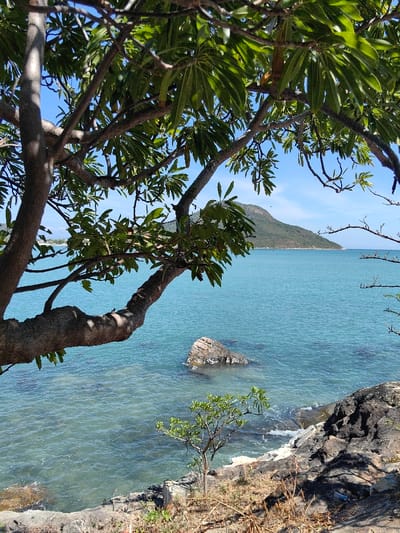 A tranquil coastal scene unfolds through the framing branches of a tree. Azure waters stretch towards a distant, verdant mountain under a clear blue sky. A rocky outcrop punctuates the water's surface, while a small tree and dark rocks populate the foreground. The tree branches, adorned with lush green leaves, provide a natural border, enhancing the serene beauty of the seascape.